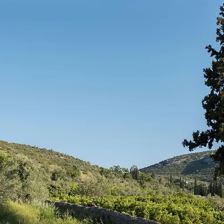 Bed & Breakfast Kanathos Pigi